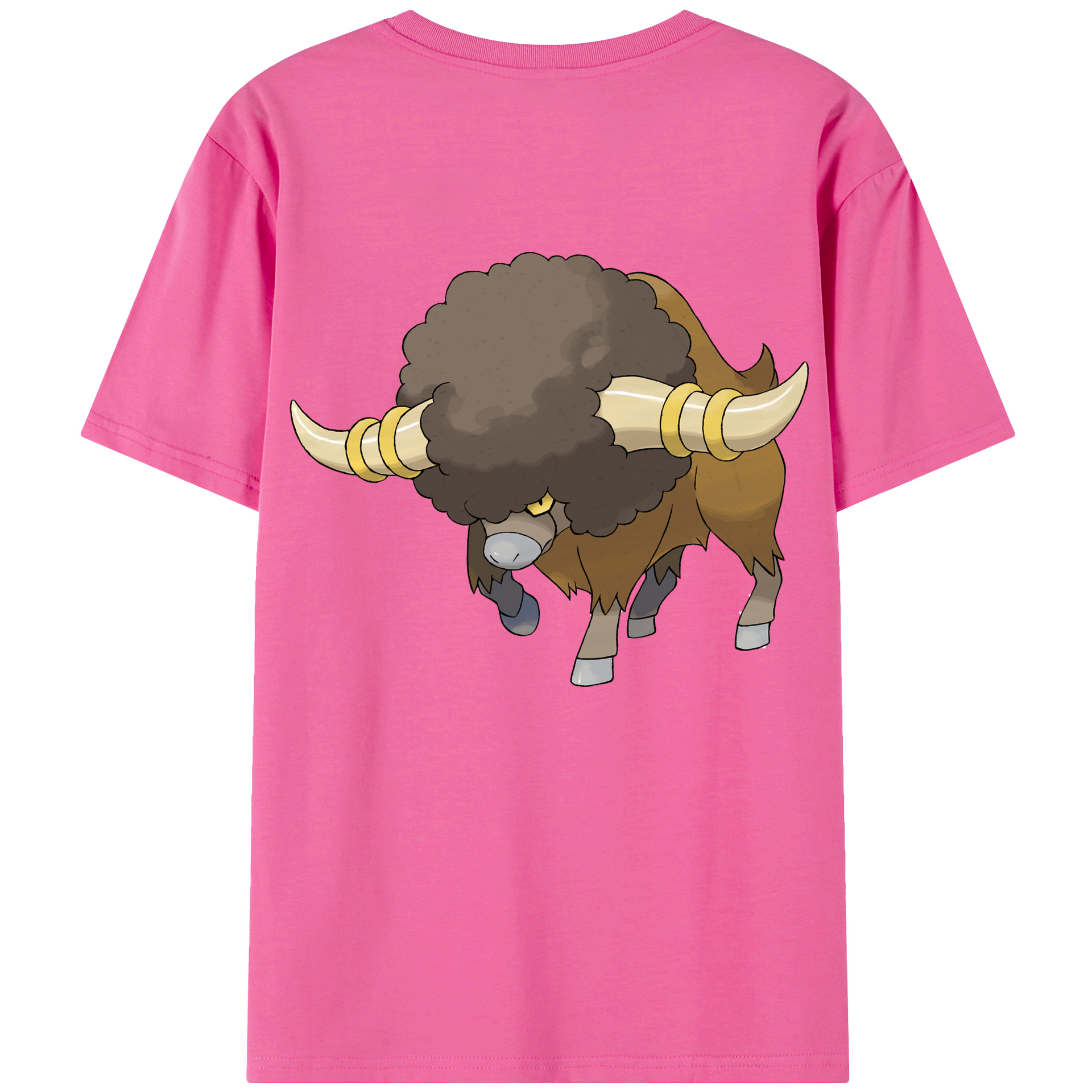 （画像用） ポケットモンスター Pokémon レディース半袖Tシャツ(バックプリント)